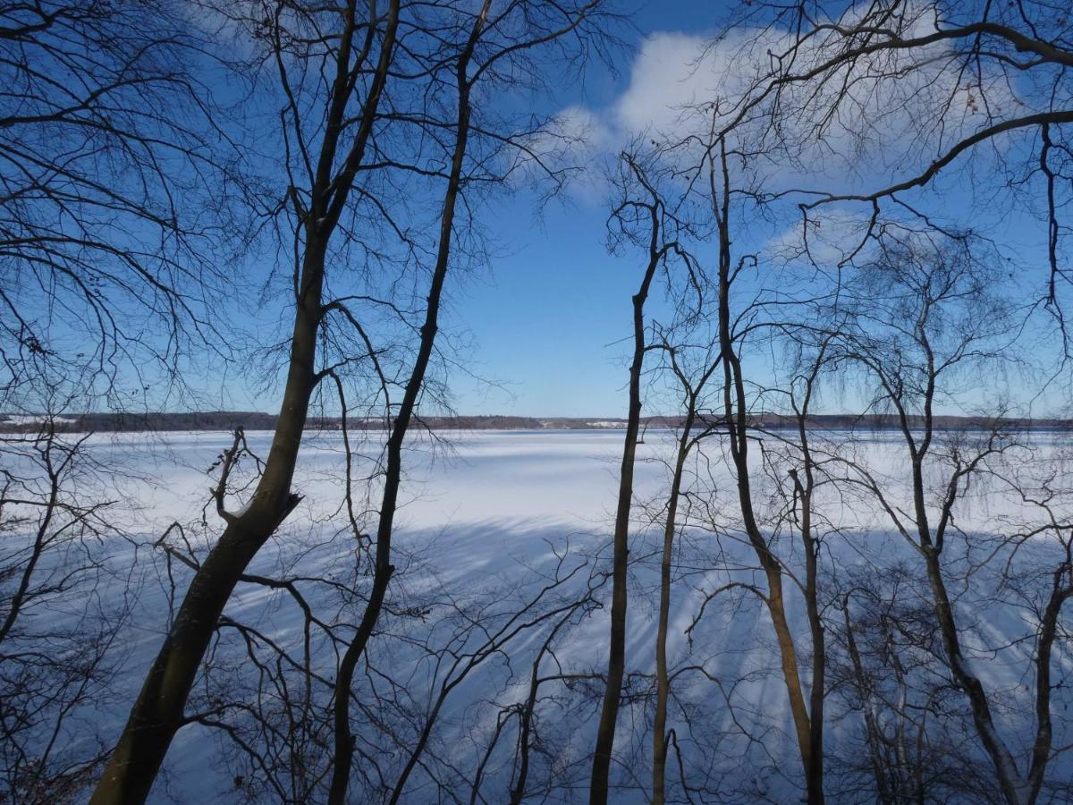 Naturstammhaus Tollensesee Gross Nemerow Экстерьер фото